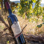 Preview: 2016er Dornfelder Rotwein Qualitätswein Feinherb 0,75L