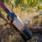 Preview: 2016er Dornfelder Rotwein Qualitätswein lieblich 0,75L