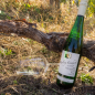 Preview: 2015er Riesling Feinherb Qualitätswein vom Schiefer 0,75L