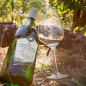 Mobile Preview: 2016er Trabener Würzgarten Halbtrocken Riesling Qualitätswein 1L