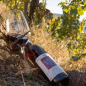 Preview: 2017er Spätburgunder Rotwein Qualitätswein Halbtrocken 0,75L