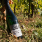 Preview: Mosel-Riesling-Sekt trocken 0,75L