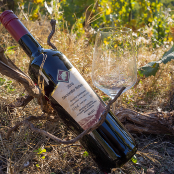 2016er Dornfelder Rotwein Qualitätswein lieblich 0,75L