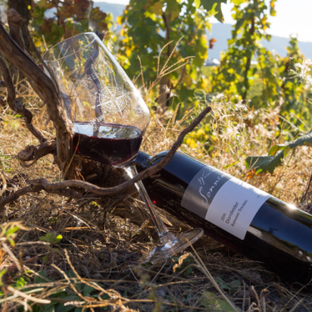 2016er Dornfelder Rotwein Qualitätswein trocken 0,75L