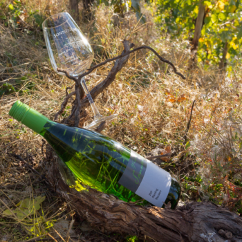 2017er Trabener Würzgarten Trocken 1L