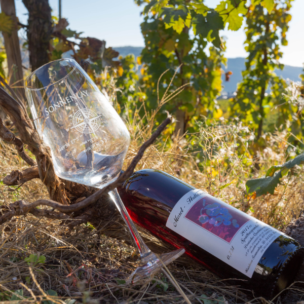 2017er Spätburgunder Rotwein Qualitätswein Halbtrocken 0,75L